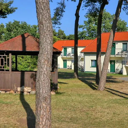 3 Bedroom In Apartment